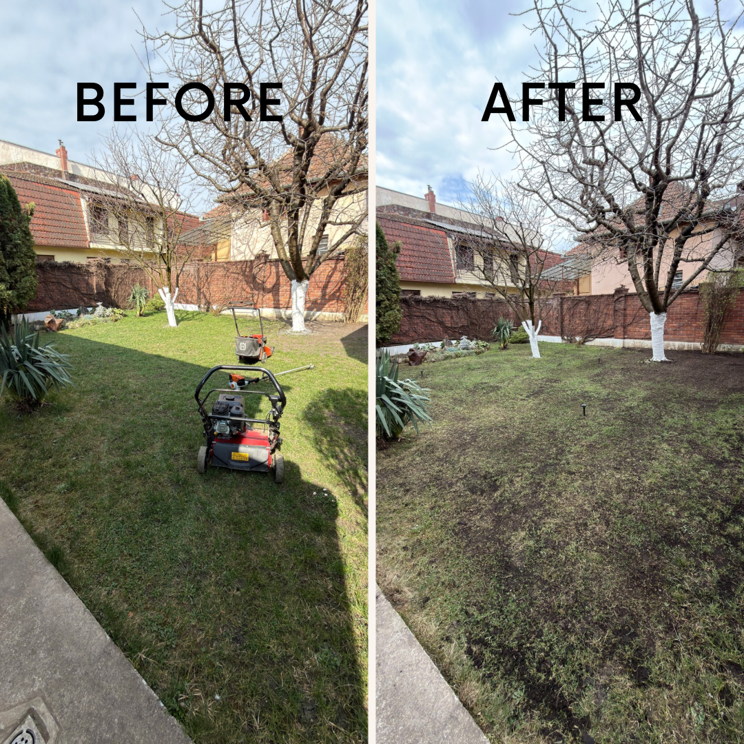 Scarificare supransamantare si top dressing Cluj Napoca